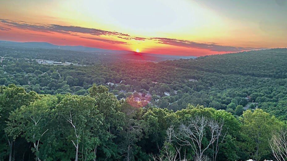 Unlocking the Value: How to Sell Land in Alabama
